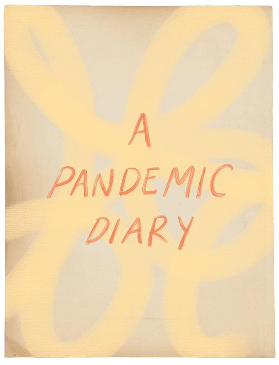 A Pandemic Diary thumbnail