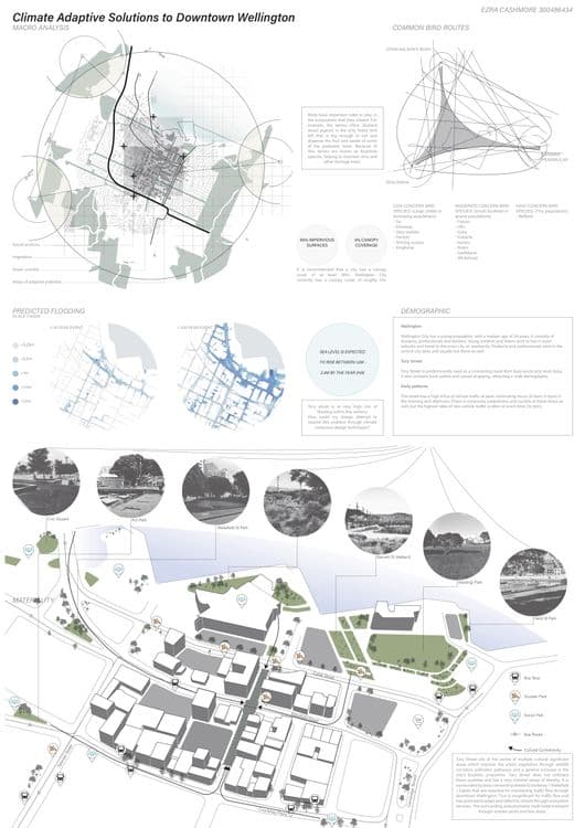 Climate Adaptive Solutions to Downtown Wellington thumbnail