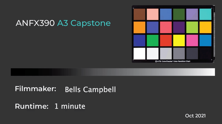 ANFX capstone by Isabella Campbell thumbnail